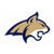 Montana State Logo